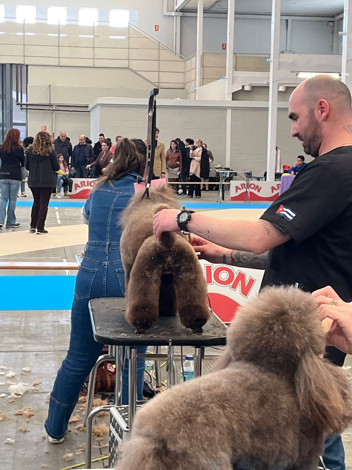 Peixecan - Alejandro González Estilismo Canino en certámenes