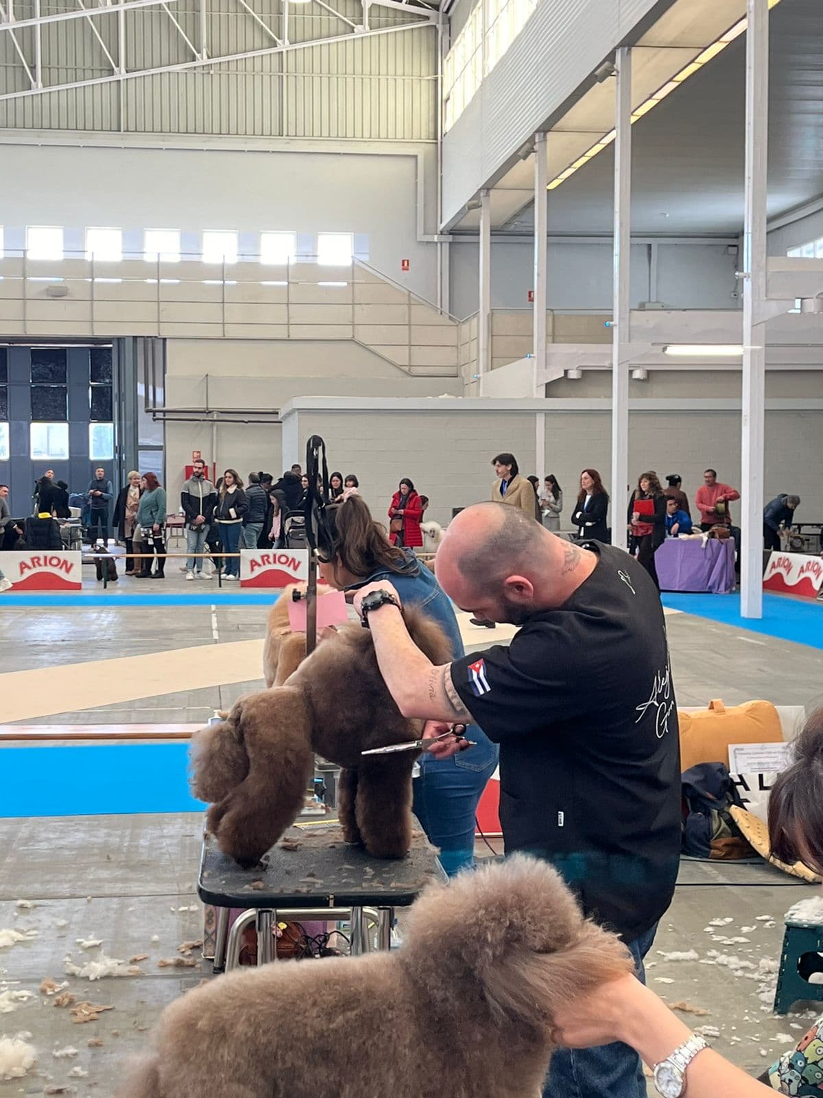 Peixecan - Alejandro González Estilismo Canino en certámenes