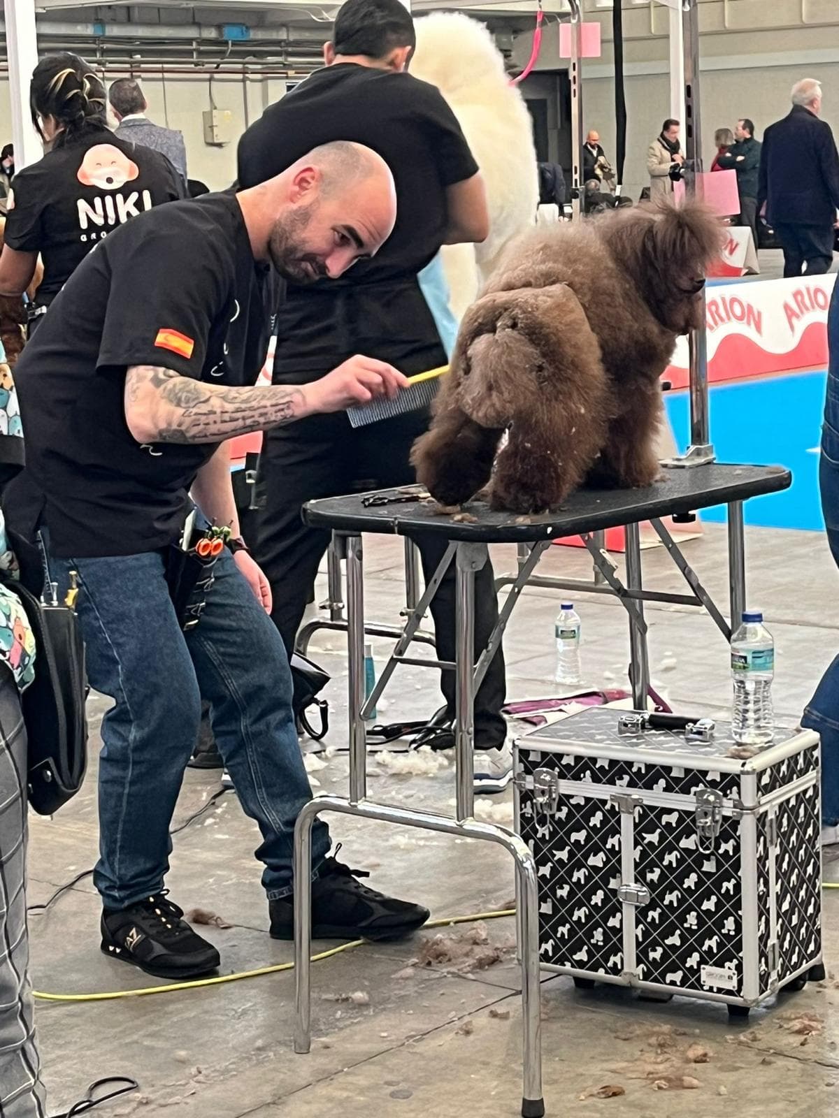 Peixecan - Alejandro González Estilismo Canino en certámenes